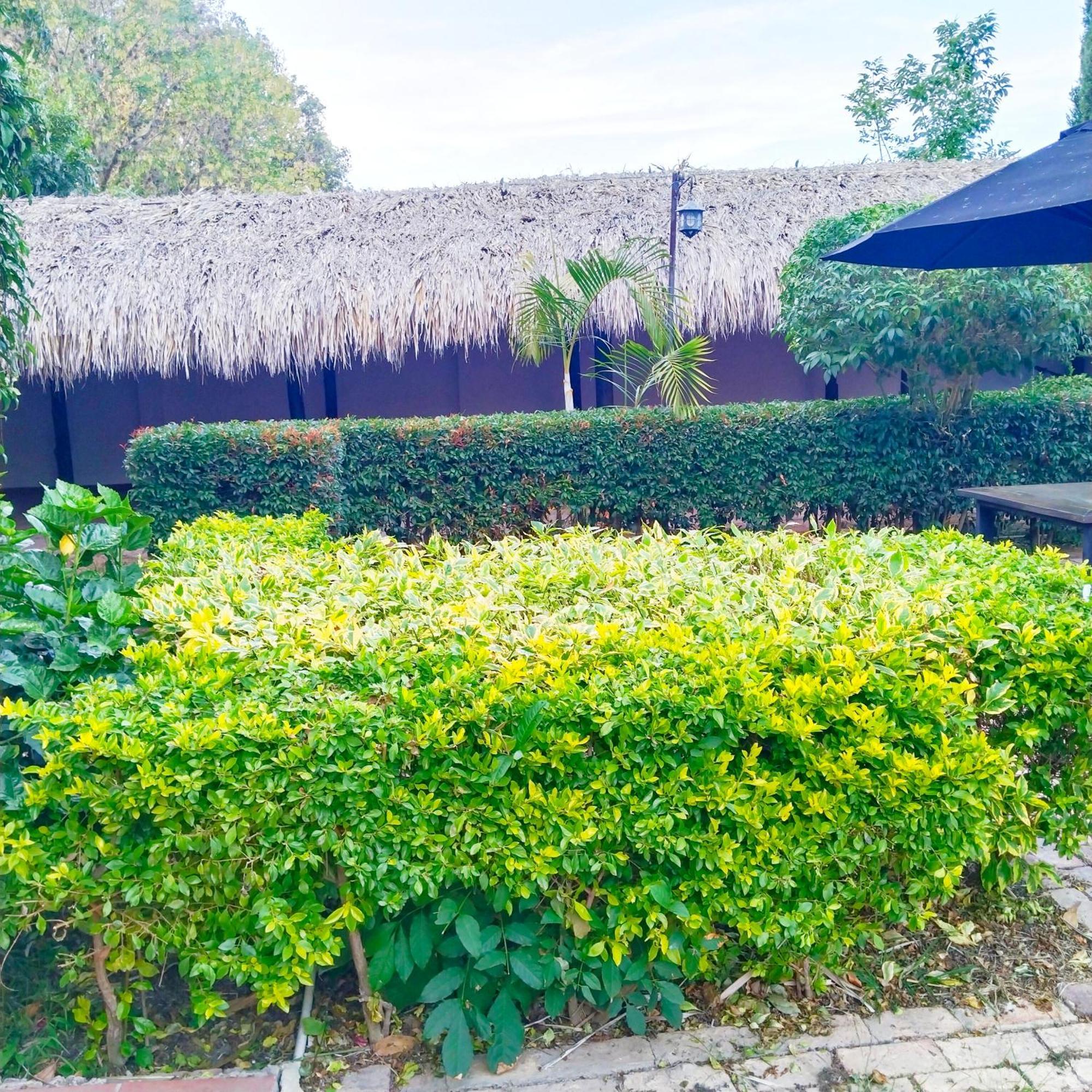 Hostal Balcon De Anita Rancho Tranquera Вилья-де-Лейва Экстерьер фото